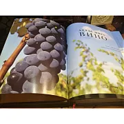Атлас мира. Вино — книга для мужчины — оригинальный подарок — фотография 3