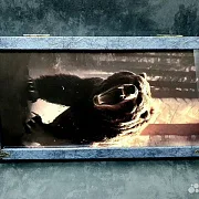 Нарды под стеклом «Хозяин тайги» — оригинальный подарок — фотография 8