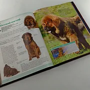 Книга "Собаки" — книга для мужчины — красивый подарок — фотография 5