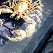 На память: Нарды под стеклом «Скорпион» — фотография 1