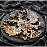 В подарок: Россия. Великая судьба — книга — фотография 4